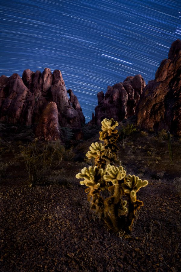 desert-vigil