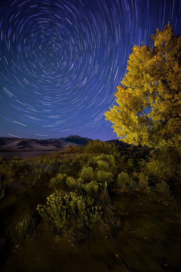 golden-stillness